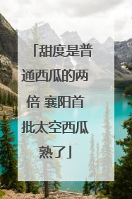 甜度是普通西瓜的两倍 襄阳首批太空西瓜熟了
