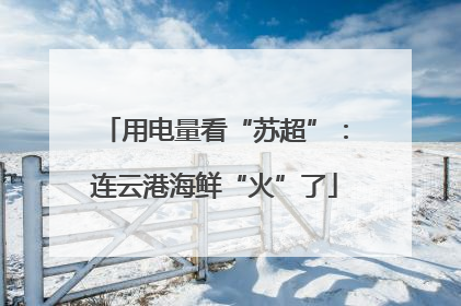 用电量看“苏超”：连云港海鲜“火”了
