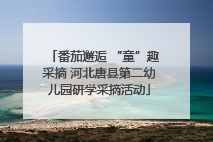 番茄邂逅 “童”趣采摘 河北唐县第二幼儿园研学采摘活动