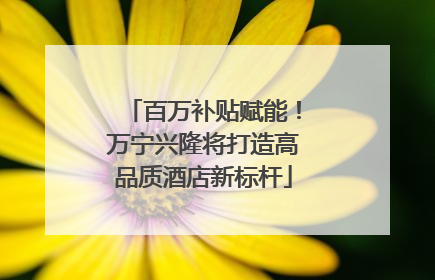 百万补贴赋能！万宁兴隆将打造高品质酒店新标杆