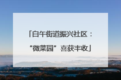 白午街道振兴社区：“微菜园”喜获丰收