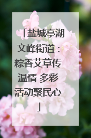 盐城亭湖文峰街道：粽香艾草传温情 多彩活动聚民心