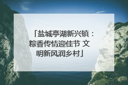盐城亭湖新兴镇：粽香传情迎佳节 文明新风润乡村