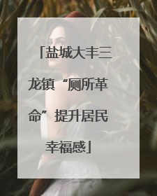 盐城大丰三龙镇“厕所革命”提升居民幸福感
