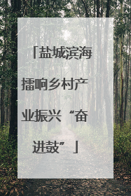 盐城滨海擂响乡村产业振兴“奋进鼓”