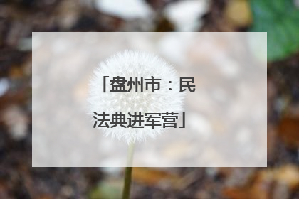 盘州市：民法典进军营