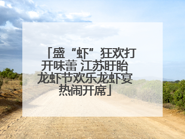 盛“虾”狂欢打开味蕾 江苏盱眙龙虾节欢乐龙虾宴热闹开席