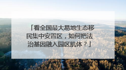 看全国最大易地生态移民集中安置区，如何把法治基因融入园区肌体？