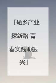 硒乡产业探新路 青春实践助振兴