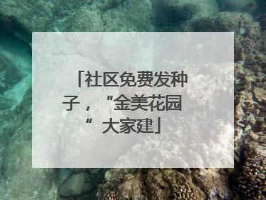 社区免费发种子，“金美花园”大家建