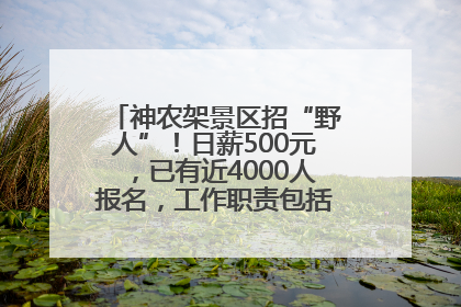 神农架景区招“野人”！日薪500元，已有近4000人报名，工作职责包括“接受游客投喂”