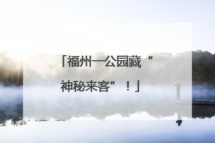 福州一公园藏“神秘来客”！