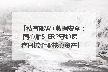 私有部署+数据安全：同心雁S-ERP守护医疗器械企业核心资产