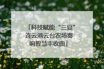 科技赋能“三夏” 连云港云台农场奏响智慧丰收曲