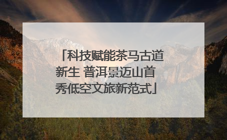 科技赋能茶马古道新生 普洱景迈山首秀低空文旅新范式