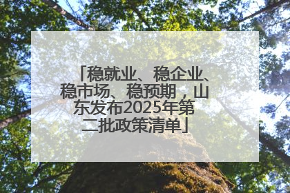 稳就业、稳企业、稳市场、稳预期，山东发布2025年第二批政策清单