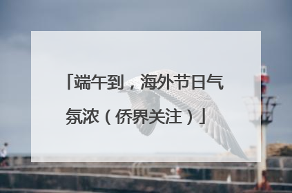 端午到，海外节日气氛浓（侨界关注）