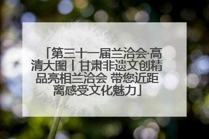 第三十一届兰洽会·高清大图丨甘肃非遗文创精品亮相兰洽会 带您近距离感受文化魅力