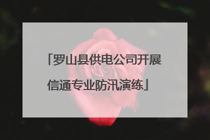 罗山县供电公司开展信通专业防汛演练