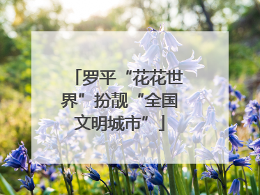 罗平“花花世界”扮靓“全国文明城市”