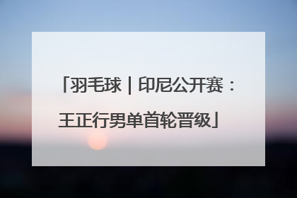 羽毛球｜印尼公开赛：王正行男单首轮晋级