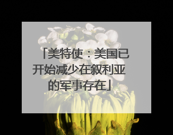 美特使：美国已开始减少在叙利亚的军事存在