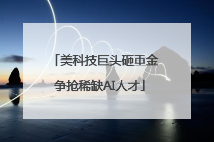 美科技巨头砸重金争抢稀缺AI人才