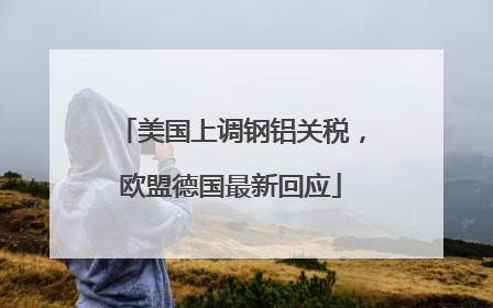 美国上调钢铝关税，欧盟德国最新回应