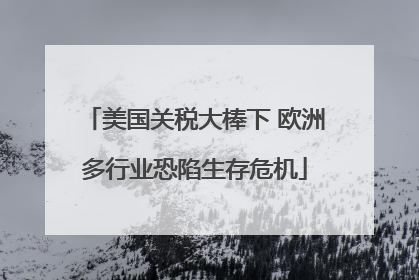 美国关税大棒下 欧洲多行业恐陷生存危机