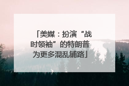 美媒：扮演“战时领袖”的特朗普为更多混乱铺路