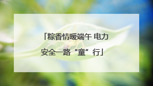 粽香情暖端午 电力安全一路“童”行