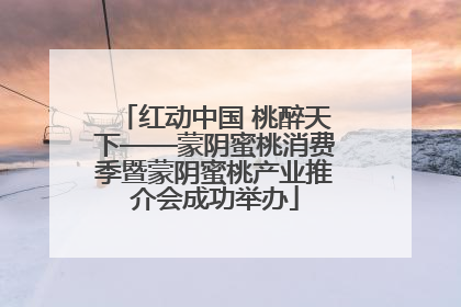 红动中国 桃醉天下——蒙阴蜜桃消费季暨蒙阴蜜桃产业推介会成功举办