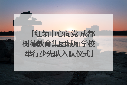 红领巾心向党 成都树德教育集团城厢学校举行少先队入队仪式