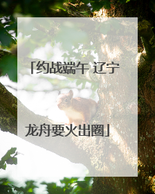 约战端午 辽宁龙舟要火出圈