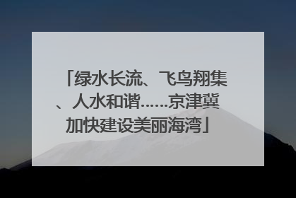 绿水长流、飞鸟翔集、人水和谐……京津冀加快建设美丽海湾