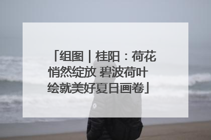 组图｜桂阳：荷花悄然绽放 碧波荷叶绘就美好夏日画卷