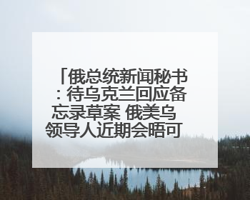 俄总统新闻秘书：待乌克兰回应备忘录草案 俄美乌领导人近期会晤可能性小