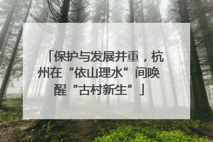 保护与发展并重，杭州在“依山理水”间唤醒“古村新生”