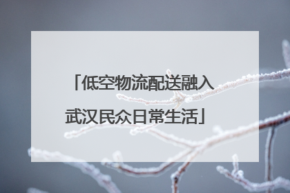 低空物流配送融入武汉民众日常生活