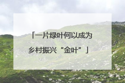 一片绿叶何以成为乡村振兴“金叶”
