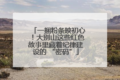 一捆粉条映初心！大别山这些红色故事里藏着纪律建设的 “密码”