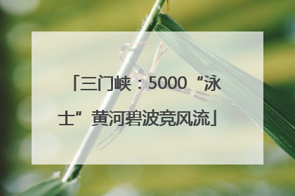 三门峡：5000“泳士”黄河碧波竞风流