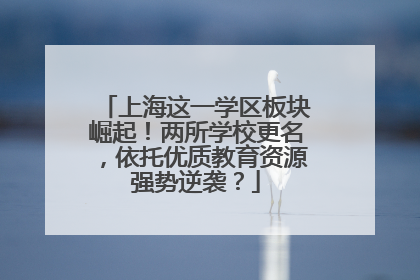 上海这一学区板块崛起！两所学校更名，依托优质教育资源强势逆袭？