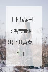 下瓦泉村：智慧棚种出“共富菜”