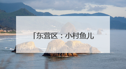 东营区：小村鱼儿“游”出大产业