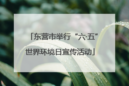 东营市举行“六·五”世界环境日宣传活动