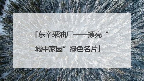 东辛采油厂——擦亮“城中家园”绿色名片