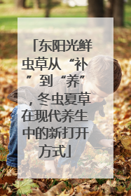 东阳光鲜虫草从“补”到“养”，冬虫夏草在现代养生中的新打开方式
