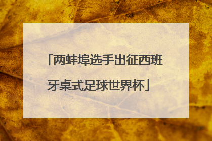 两蚌埠选手出征西班牙桌式足球世界杯