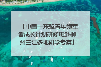 中国—东盟青年领军者成长计划研修班赴柳州三江多地研学考察